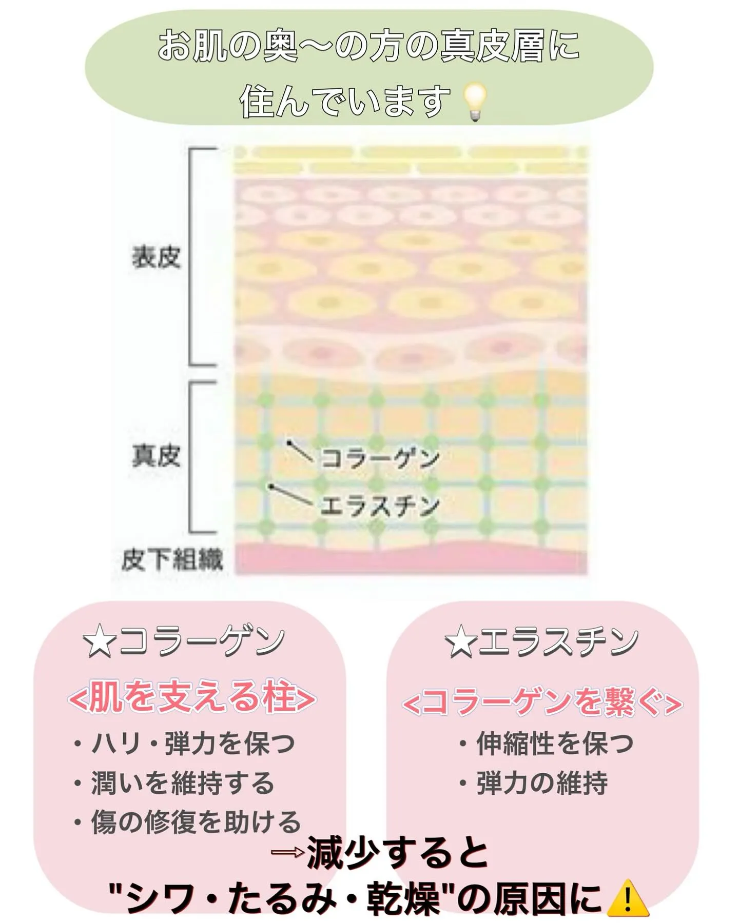シワやたるみをできにくい肌に!浅草橋のフェイシャルエステ専門...