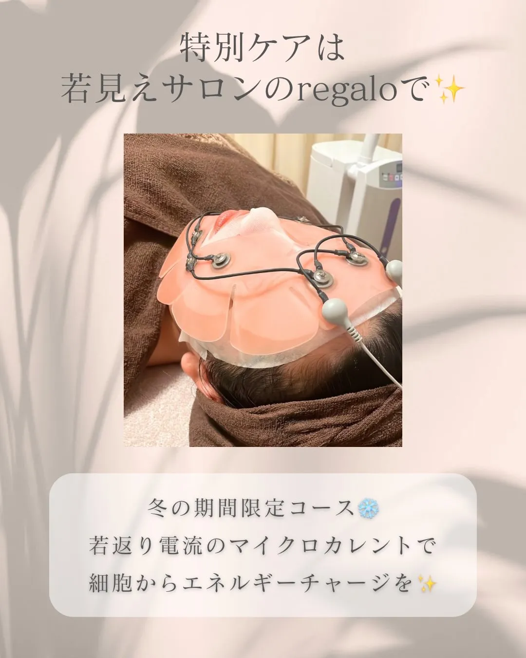 やりすぎ注意⚠️若見えは浅草橋のregaloで🌸